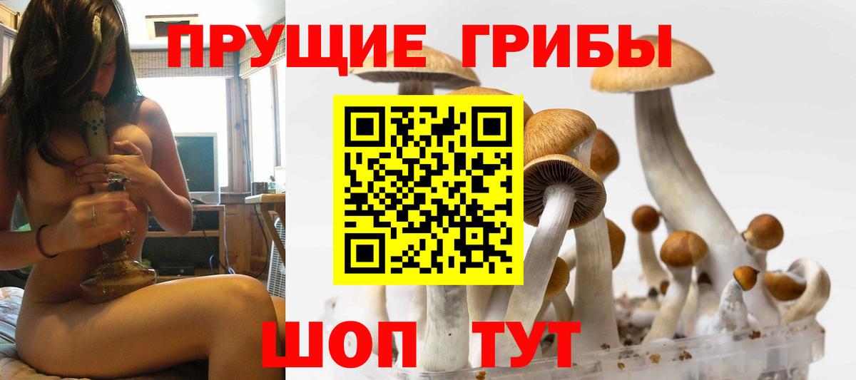 как найти закладки  Вход с VPN  Галлюциногенные грибы мухоморы  Новокубанск  Псилоцибиновые грибы GOLDEN TEACHER 